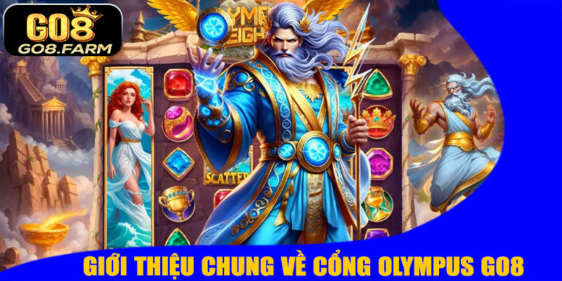 Giới Thiệu Chung Về Cổng Olympus GO8