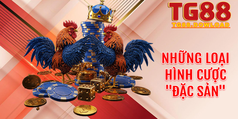 Trải nghiệm hình ảnh 4K: Cảm nhận từng nhịp đập và cú đá hiểm hóc ngay tại Tg88