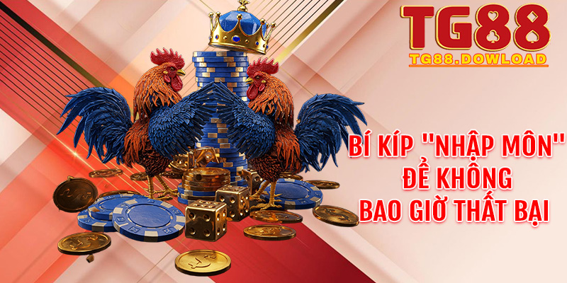 Bí kíp "nhập môn" để không bao giờ thất bại tại sảnh Đá gà Tg88